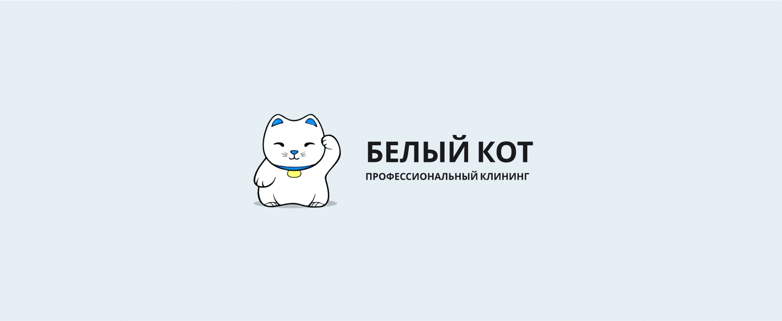 White Cat - aggregator of cleaning services